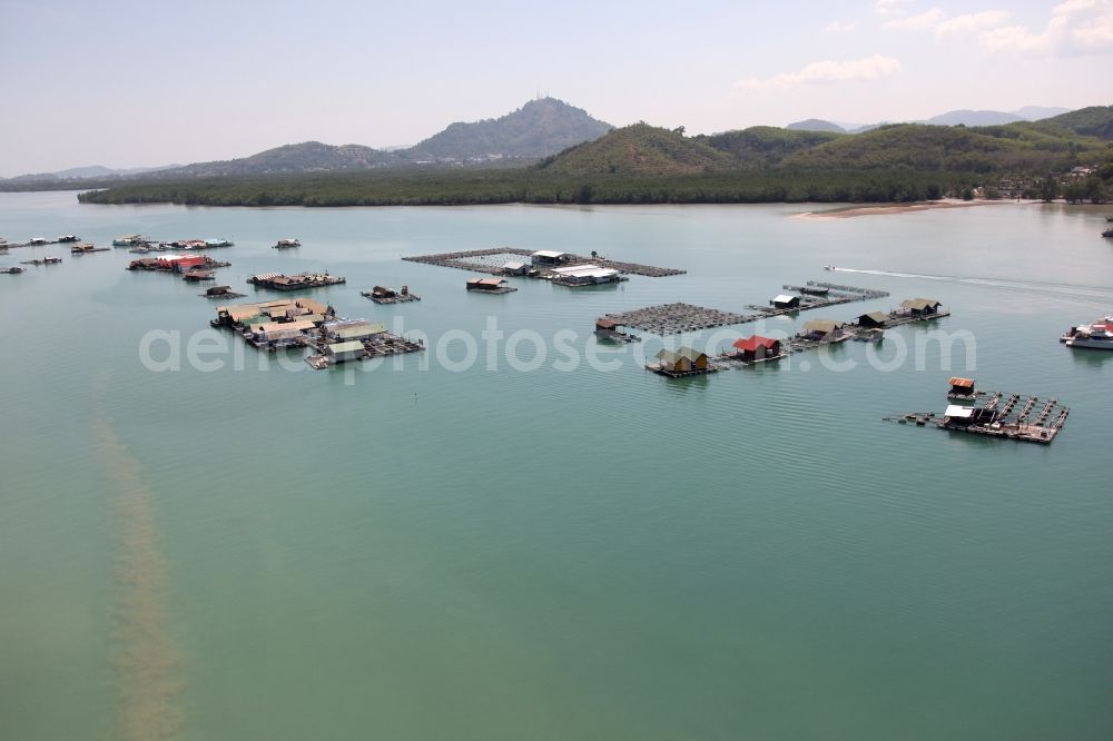 Aerial photograph Ratsada - The Bay Ao Tha Rua in front of the city Ratsada on the island Phuket in Thailand is full of floating fish farms with accompanying boats and houseboats