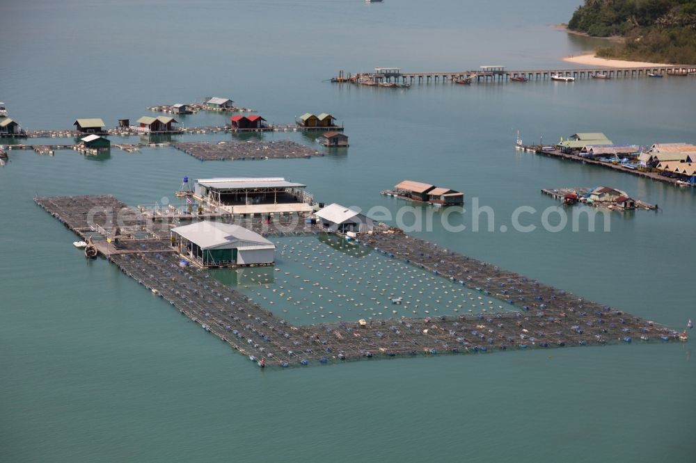 Ratsada from the bird's eye view: The Bay Ao Tha Rua in front of the city Ratsada on the island Phuket in Thailand is full of floating fish farms with accompanying boats and houseboats