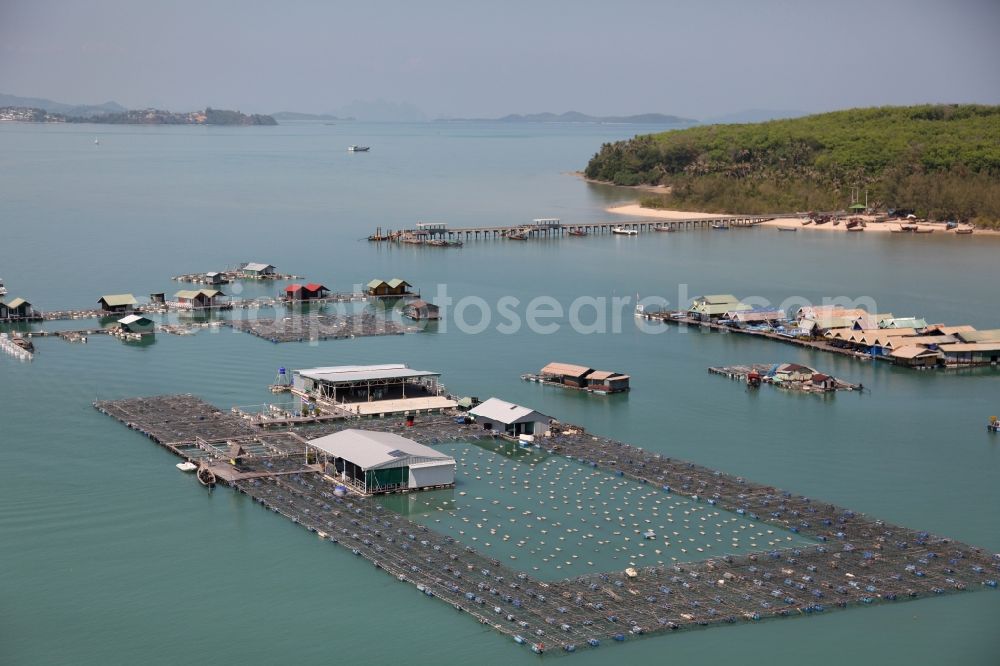 Aerial photograph Ratsada - The Bay Ao Tha Rua in front of the city Ratsada on the island Phuket in Thailand is full of floating fish farms with accompanying boats and houseboats