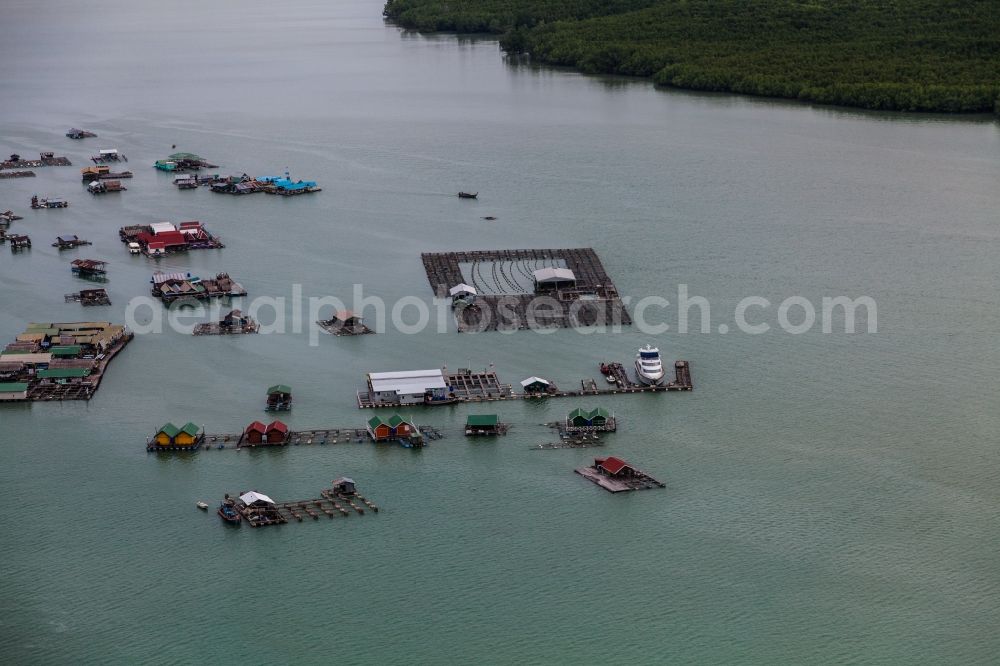 Aerial photograph Tambon Ko Kaeo - The Bay Ao Tha Rua in front of the city Ratsada on the island Phuket in Thailand is full of floating fish farms with accompanying boats and houseboats