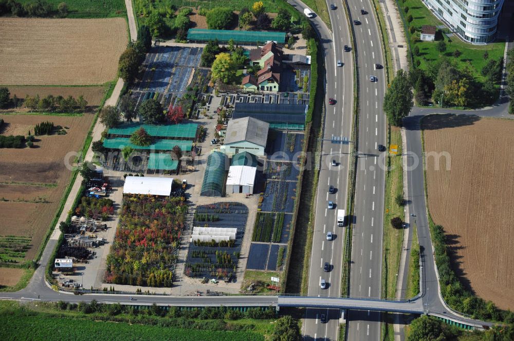 Eschborn from the bird's eye view: The arboretum Christensen in Eschborn beside the motorway A 66 in Hesse