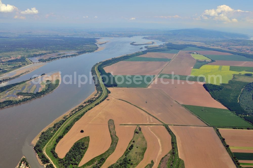 Aerial image Dubovac - The Danube with the nature reserve Deliblatska Pescara in Dubovac in Serbia