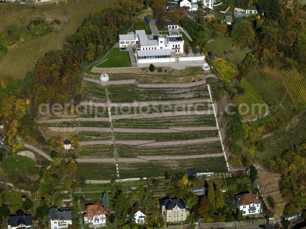 Aerial photograph Radebeul - The cottage Friedensburg in the vineyard of Radebeul in the state of Saxony. Located in the Lößnitz part of the city, some of the most important buildings lie on top of the vineyards. The whole area is listed and landmarked as a heritage site. The wine is generally called Großlage Lößnitz. The castle is built in the neo gothic style and is a mountain inn