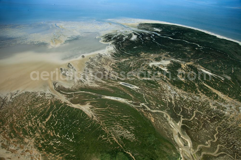 Aerial photograph Memmert - Memmert is an uninhabited East Frisian island of Juist southwest and east of Borkum in the Osterems in East Friesland. Since 1986, Memmert is part of the protection zone I in the National Park Wadden Sea. The island is now home to protected species