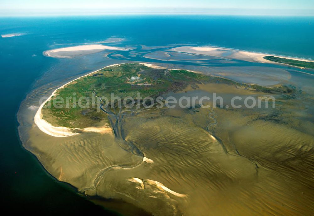 Memmert from the bird's eye view: Memmert is a small East Frisian island off the northern coast of Germany. Memmert is uninhabited, with only one house on the island for wildlife-spotting purposes