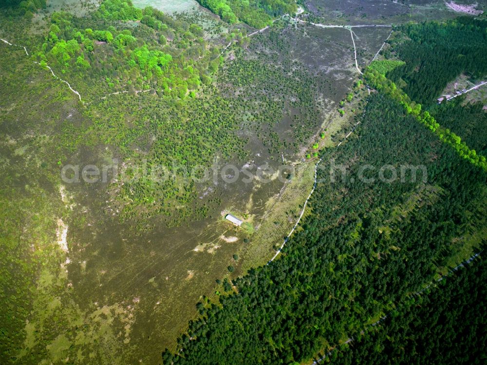 Egestorf from the bird's eye view: Landscape of the Lueneburg Heath in Egestorf in the state of Lower Saxony. The large and flat landscape in the northeast of the state includes moors and heathland. Visible here are the diverse ground structures of the heath's meadows, woods and rocks in the area of the two creeks Radenbach and Wilseder-Bach