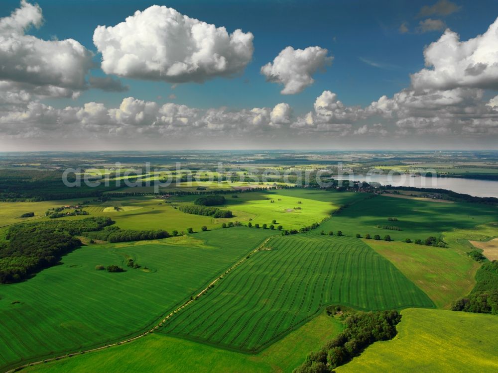 Aerial photograph Waren (Müritz) - The Mueritz near Waren in the state of Mecklenburg-Vorpommern. The lake in the Mecklenburg Lake District is the largest lake entirely located in Germany. View of the North part Binnenmueritz