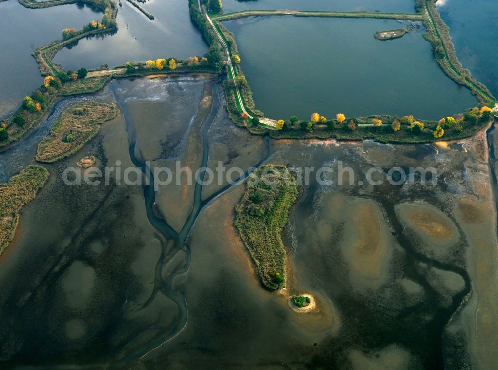 Aerial image Peitz - The Peitzer Teiche in the county district of Spree-Neiße in the state of Brandenburg. The area consists of ponds, resulting in an area of 1000 ha which makes it the largest connected pond area of Germany. It is used for fishing