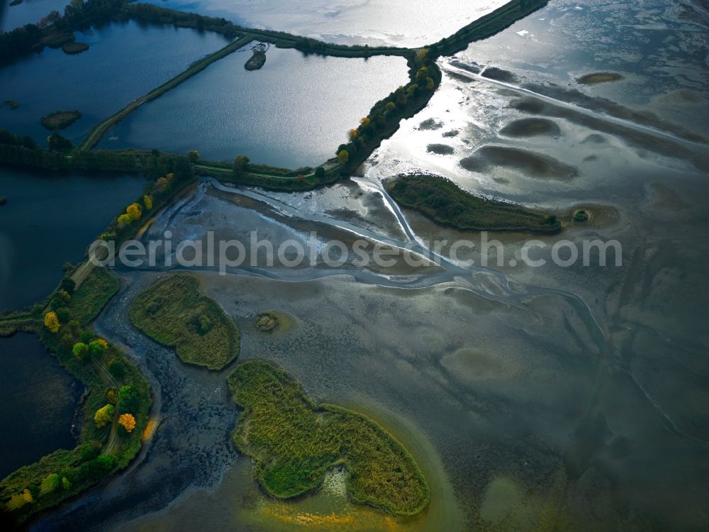 Aerial photograph Peitz - The Peitzer Teiche in the county district of Spree-Neiße in the state of Brandenburg. The area consists of ponds, resulting in an area of 1000 ha which makes it the largest connected pond area of Germany. It is used for fishing