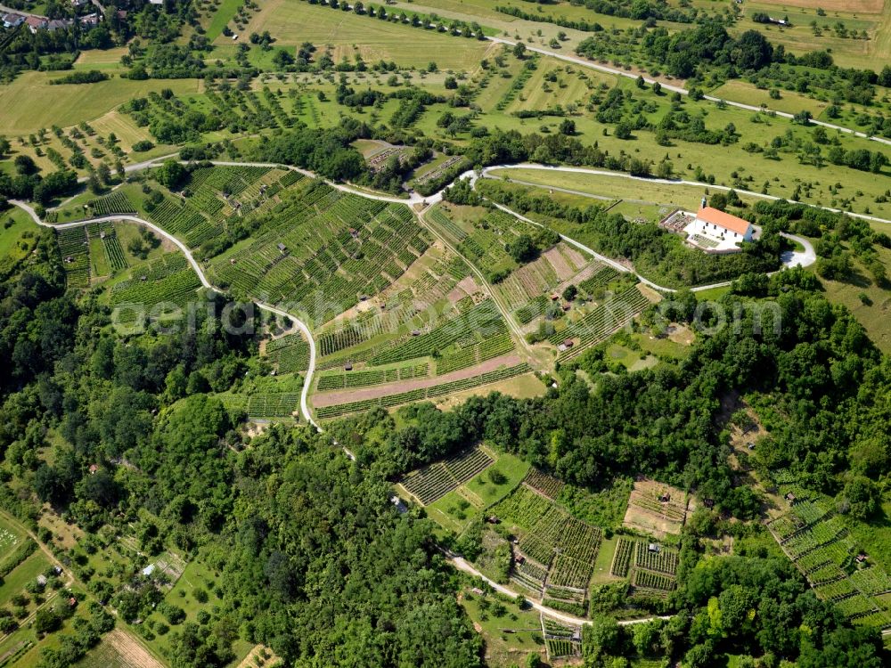 Tübingen from the bird's eye view: The Wurmlinger chapel on the hill near by Chapel Tübingen is a very popular tourist and pilgrimage destination. The Romanesque previous building was 1050 in the tenure of Pope Leo IX. as a grave chapel of the founder, Count Anselm of Calw built there. The Romanesque crypt dates from around 1150. The Gothic successor building burned down in 1644th The Baroque chapel still standing today was inaugurated 1685th