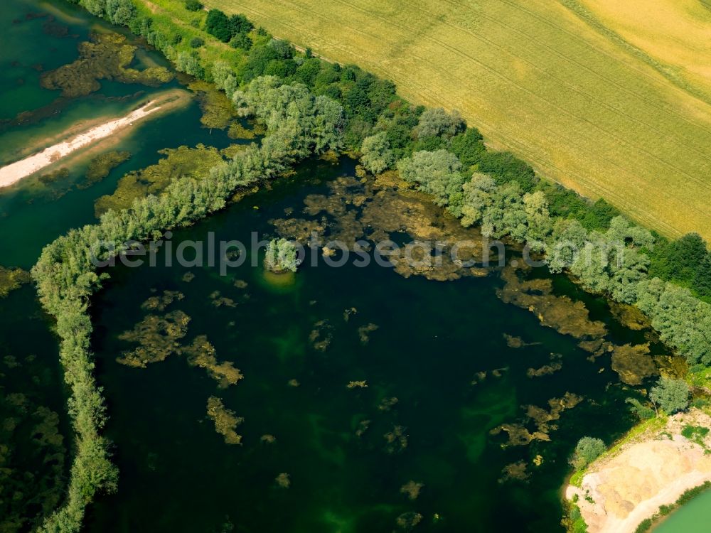 Brühl from the bird's eye view: The lakes near Brühl in the state of North Rhine-Westphalia. The city of Brühl is enclosed by lakes of different sizes. They came into existence primarly through the flooding of former mining pits and opencast pits. They are part of the Villeseen region and of the nature preserve Rhine Land. Today they are beloved leisure and tourist sites and used for swimming