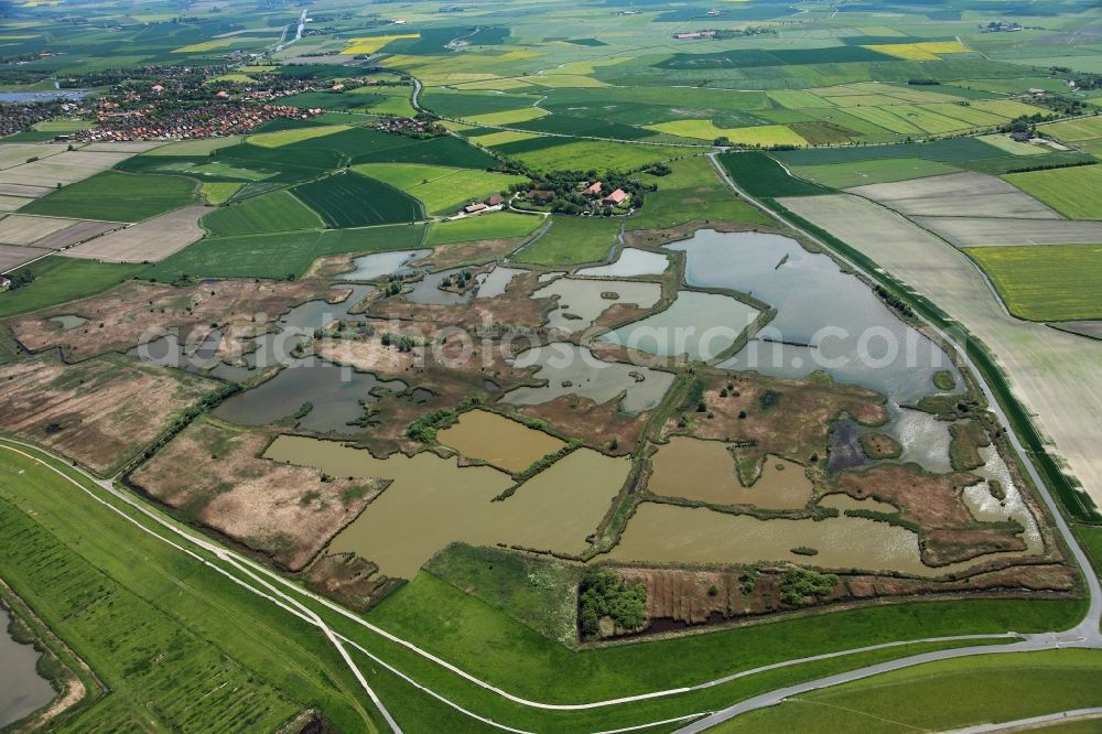 Krummhörn from the bird's eye view: The lakes at the hamlet of Hauen in the borough of Krummhörn in the state of Lower Saxony. The small group of lakes and ponds is adjacent to the national park Lowery Saxony Wadden Sea and lies in the west of the village