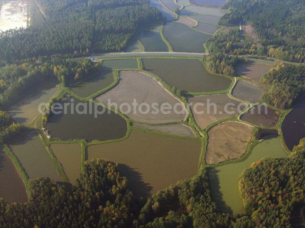 Aerial photograph Tirschenreuth - Die Tirschenreuther Teichpfanne. Seit dem 12. Jahrhundert prägen Teiche die Landschaft im Landkreis Tirschenreuth. Heute verteilen sich mehr als 3500 Teiche, mit einer Wasserfläche von etwa 2000 ha, auf der Fläche des Landkreises. Damit liegt das bundesweit größte und bedeutenste Teichgebiet in der Oberpfalz.