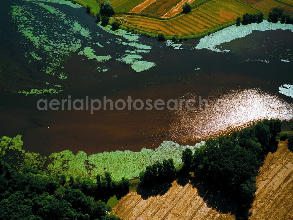 Aerial photograph Oberdischingen - View of the Donau near Oberdischingen in the state Baden-Wuerttemberg