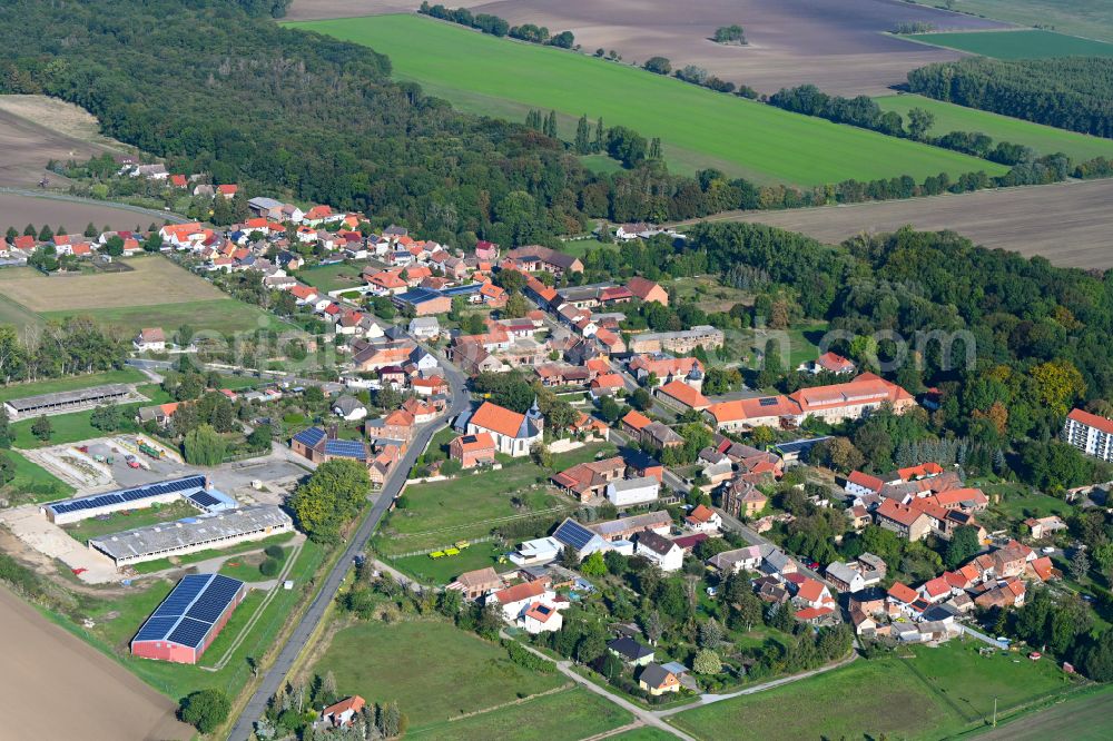 Aerial photograph Aderstedt - Village view in Aderstedt in the state Saxony-Anhalt, Germany