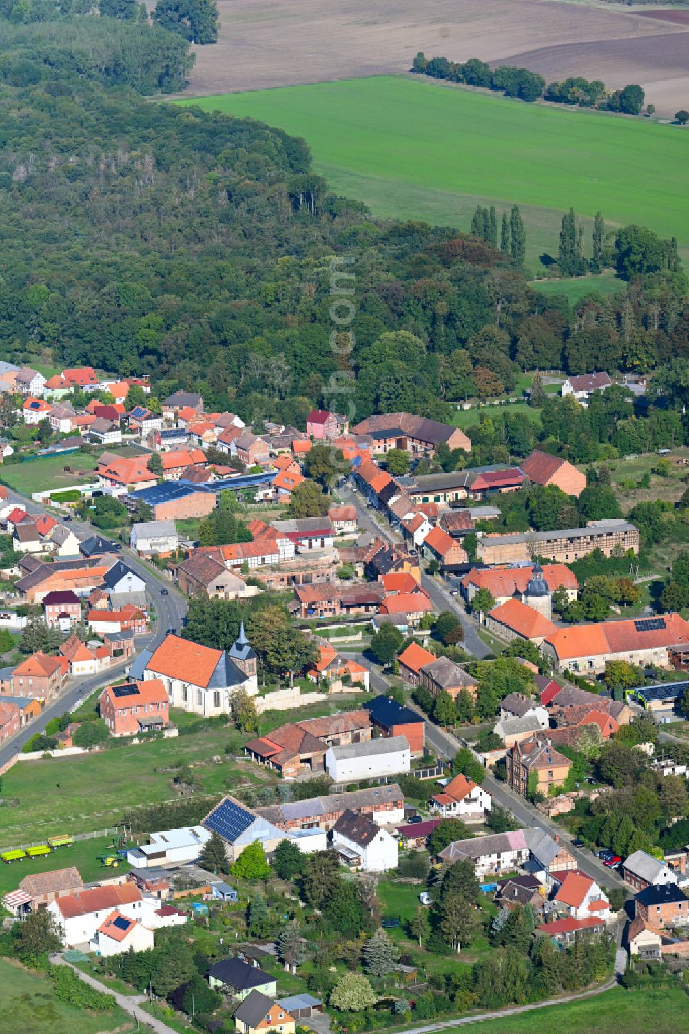 Aderstedt from above - Village view in Aderstedt in the state Saxony-Anhalt, Germany