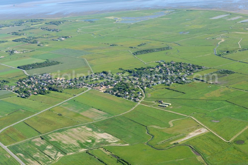 Aerial image Archsum - Village view of Archsum in the state Schleswig-Holstein