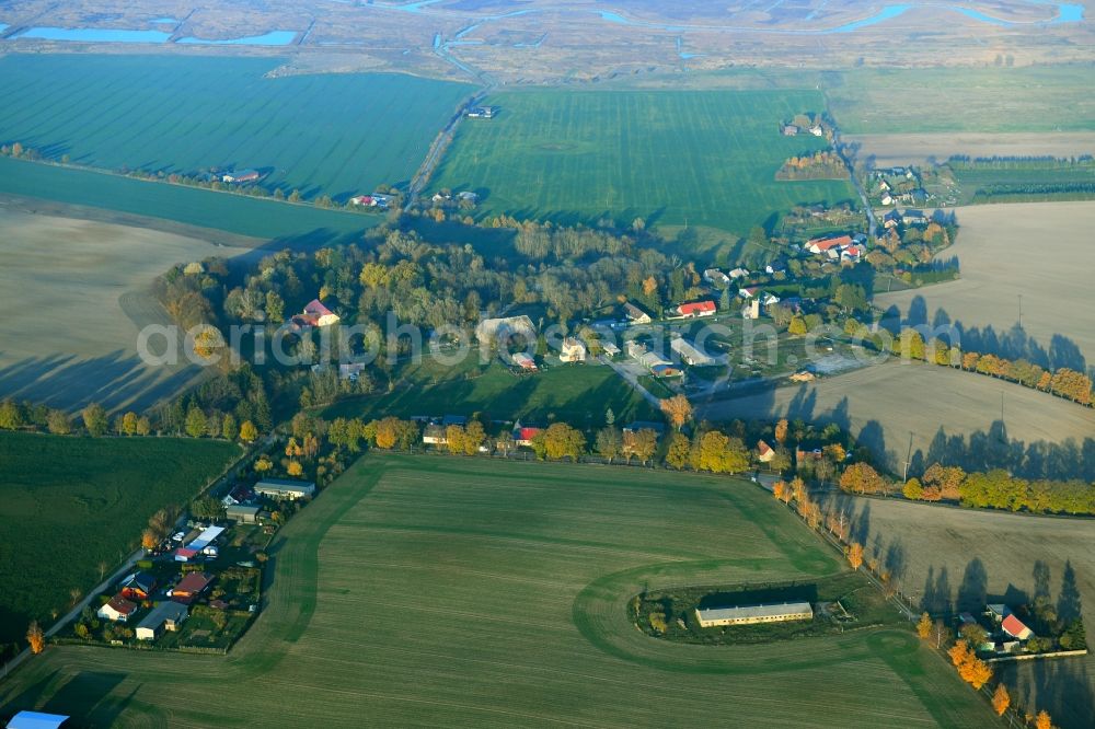 Aerial photograph Beestland - Village view in Beestland in the state Mecklenburg - Western Pomerania, Germany