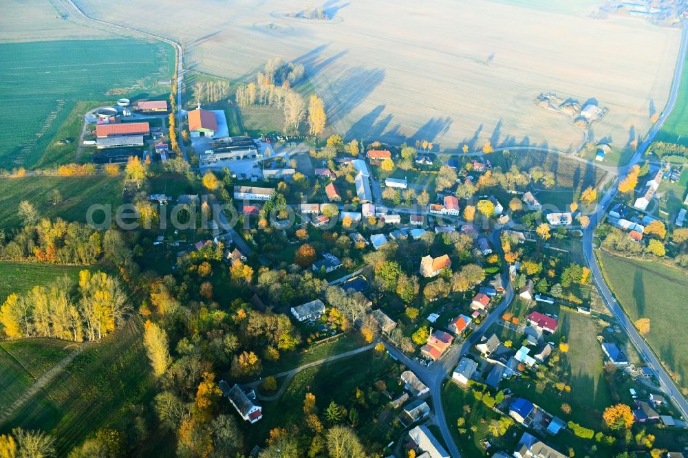 Aerial image Beggerow - Village view in Beggerow in the state Mecklenburg - Western Pomerania, Germany