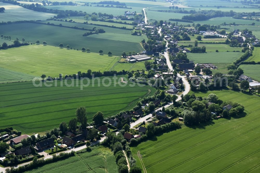 Bühnsdorf from the bird's eye view: Village view of Buehnsdorf in the state Schleswig-Holstein