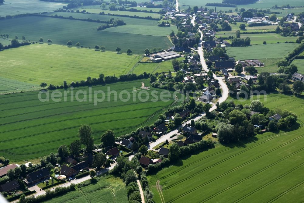 Aerial image Bühnsdorf - Village view of Buehnsdorf in the state Schleswig-Holstein