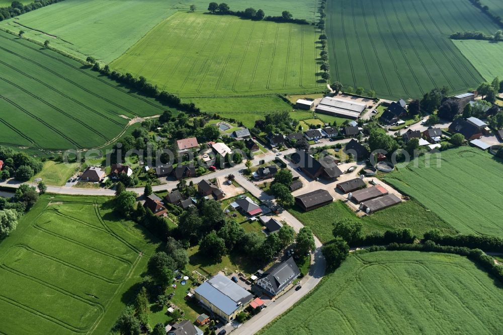 Bühnsdorf from the bird's eye view: Village view of Buehnsdorf in the state Schleswig-Holstein