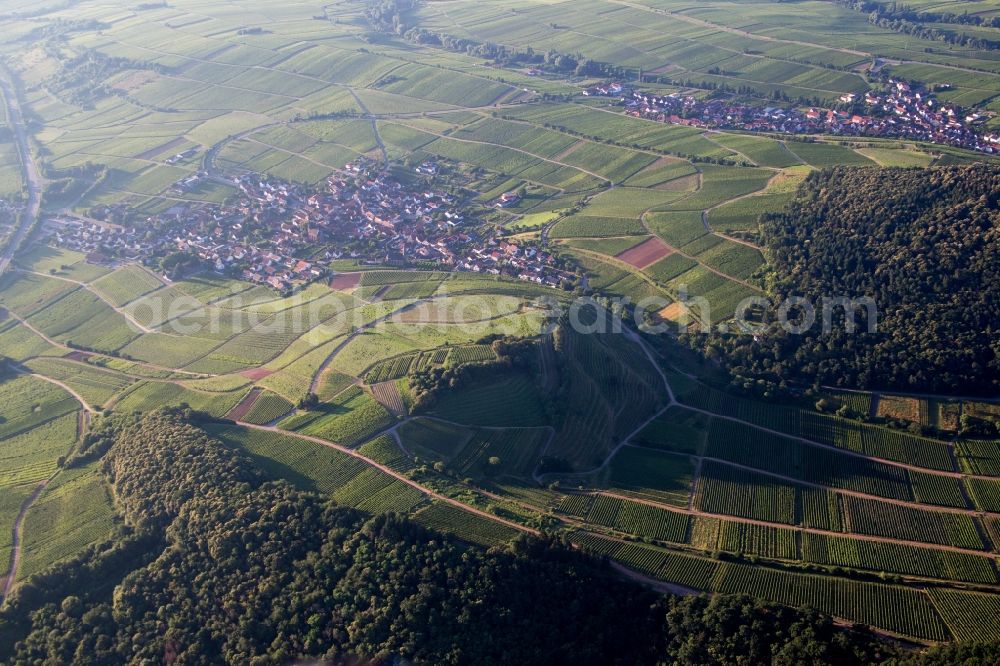 Birkweiler from above - Village view of Birkweiler in the state Rhineland-Palatinate