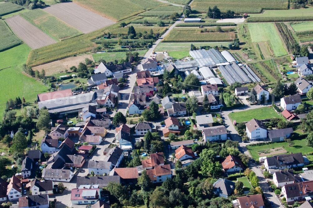 Aerial photograph Bodersweier - Village view in Bodersweier in the state Baden-Wuerttemberg