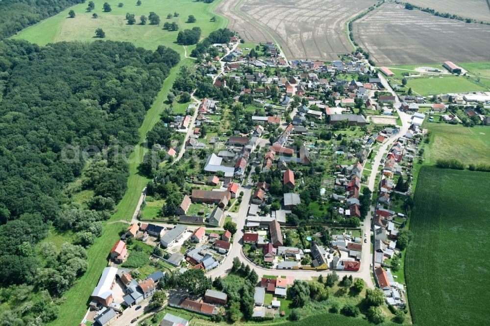 Breitenhagen from the bird's eye view: Village view in Breitenhagen in the state Saxony-Anhalt, Germany