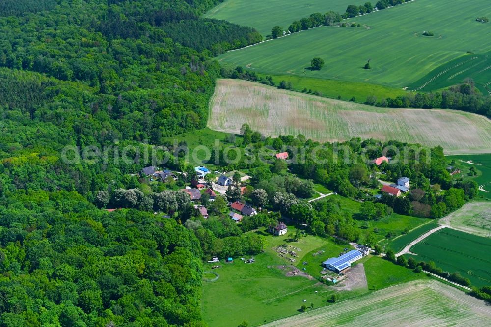 Aerial photograph Carlshof - Village view in Carlshof in the state Mecklenburg - Western Pomerania, Germany