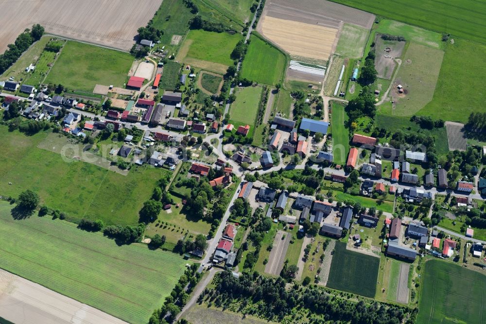 Danewitz from above - Village view in Danewitz in the state Brandenburg, Germany