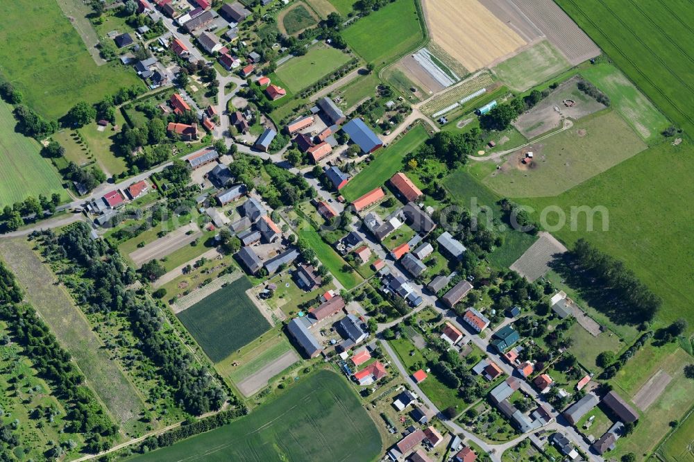 Danewitz from the bird's eye view: Village view in Danewitz in the state Brandenburg, Germany