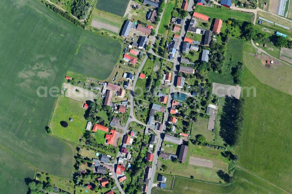 Aerial photograph Danewitz - Village view in Danewitz in the state Brandenburg, Germany