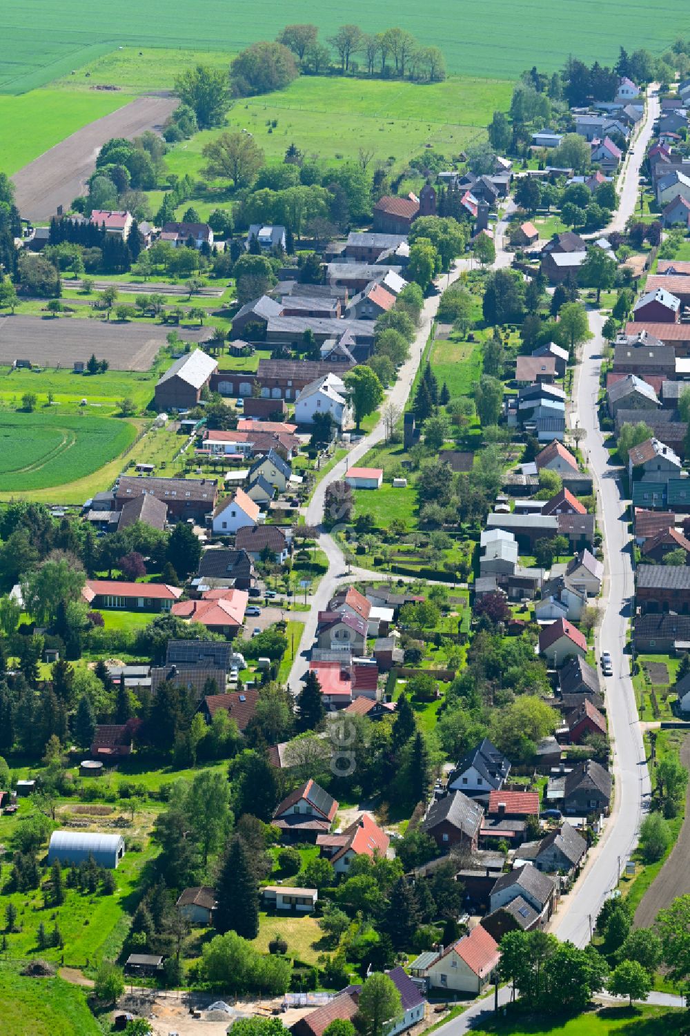 Danewitz from above - Village view in Danewitz in the state Brandenburg, Germany