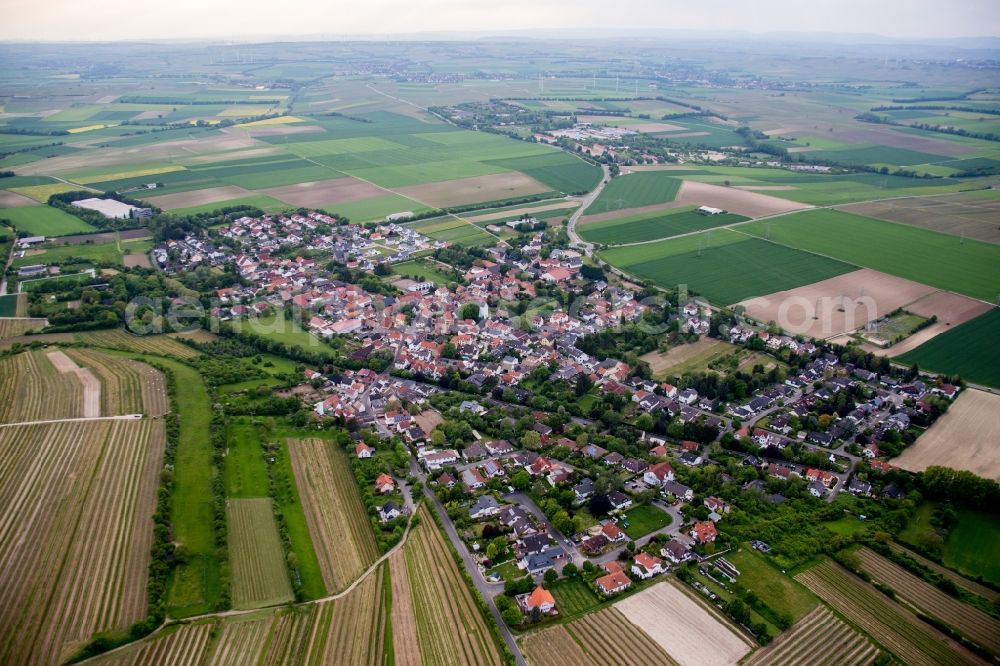 Dexheim from above - Village view in Dexheim in the state Rhineland-Palatinate