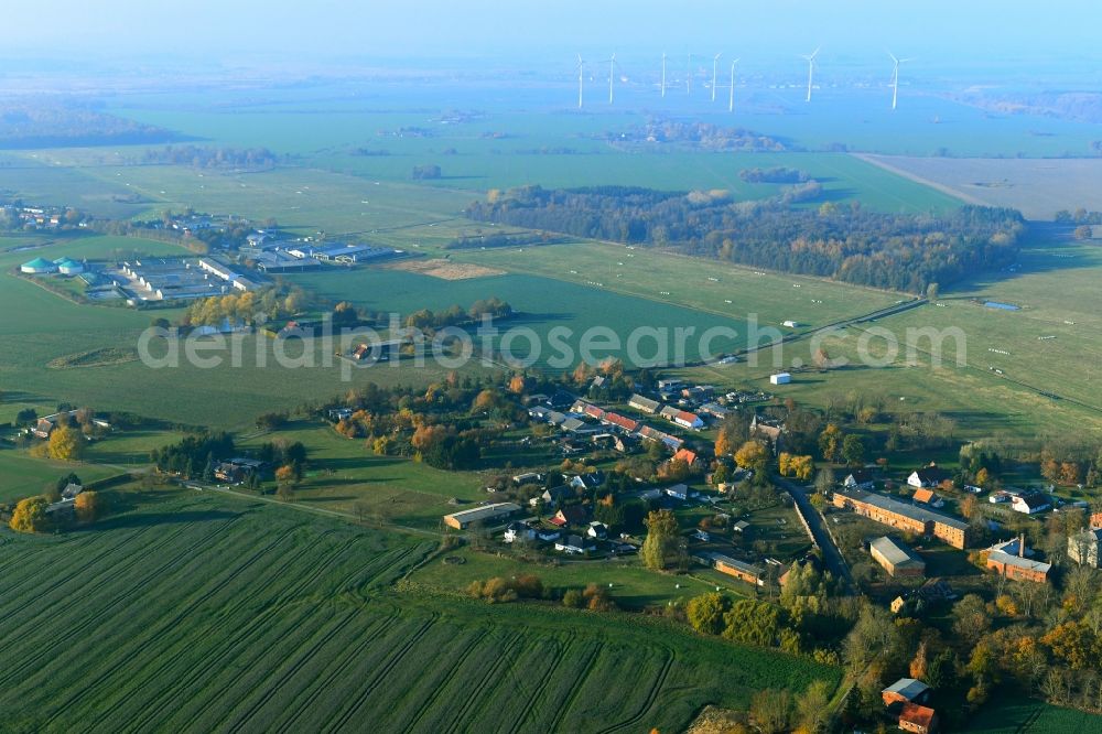 Deyelsdorf from the bird's eye view: Village view in Deyelsdorf in the state Mecklenburg - Western Pomerania, Germany