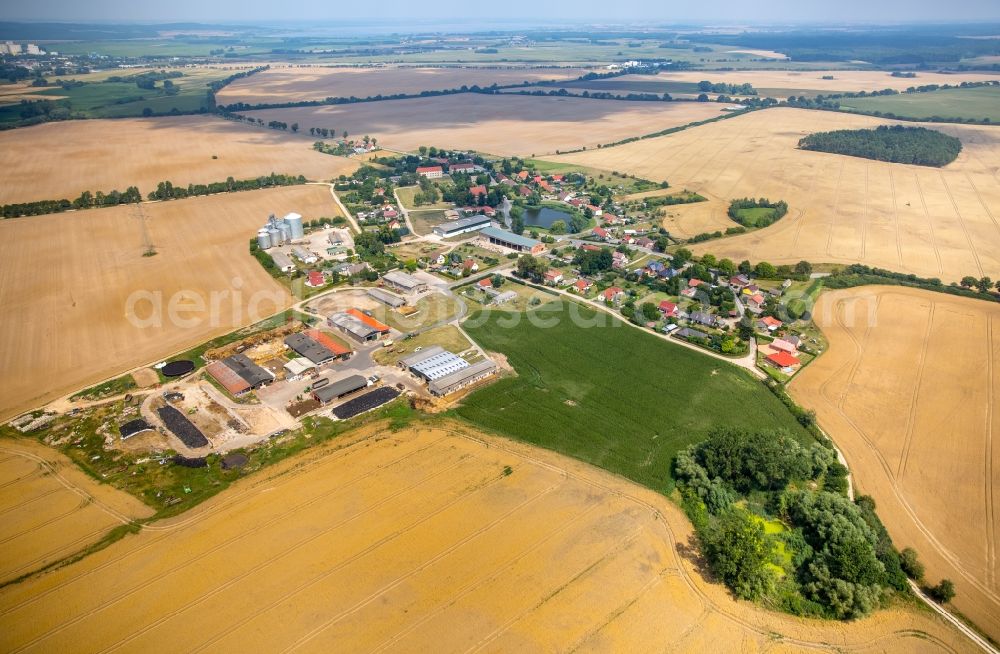 Aerial photograph Duckow - Village view of Duckow in the state Mecklenburg - Western Pomerania