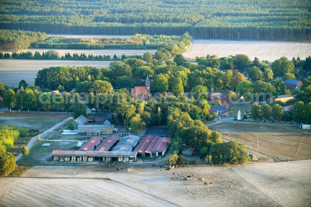 Aerial image Ferbitz - Village view in Ferbitz in the state Brandenburg, Germany