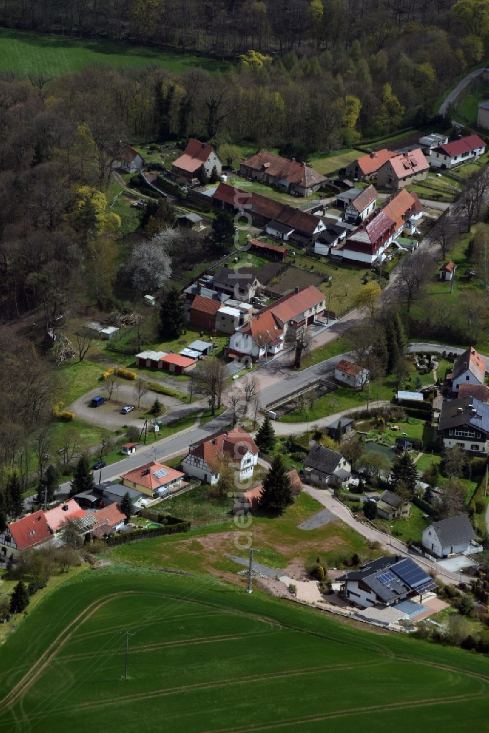 Friesdorf from above - Village view of Friesdorf in the state Saxony-Anhalt