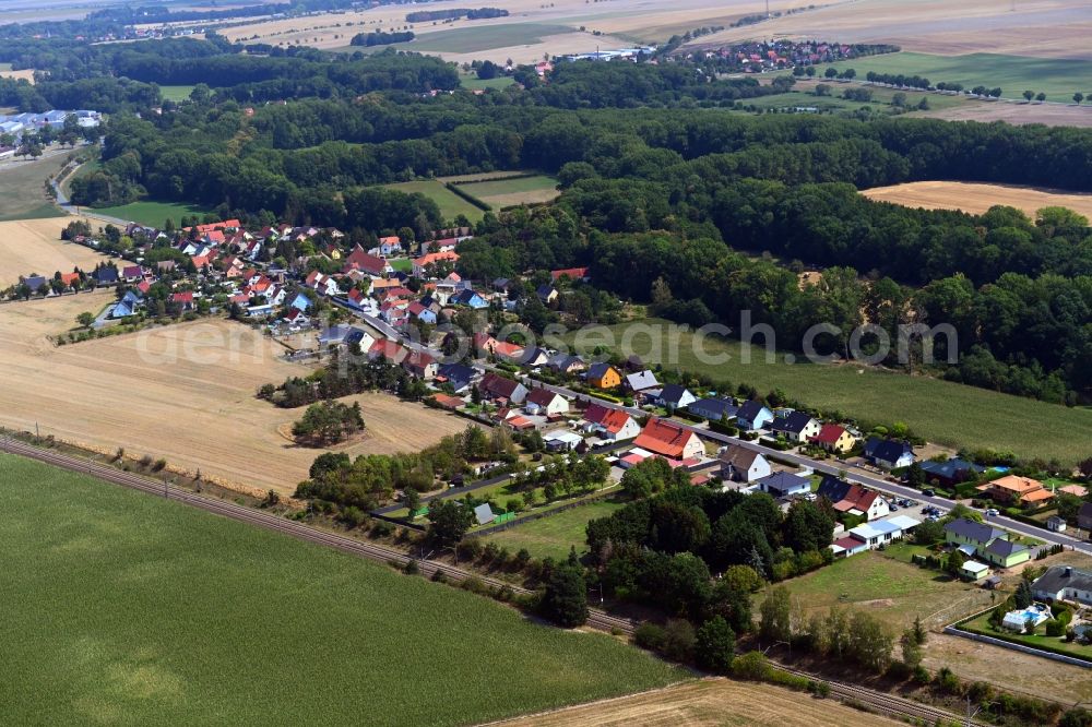 Grubnitz from above - Village view in Grubnitz in the state Saxony, Germany