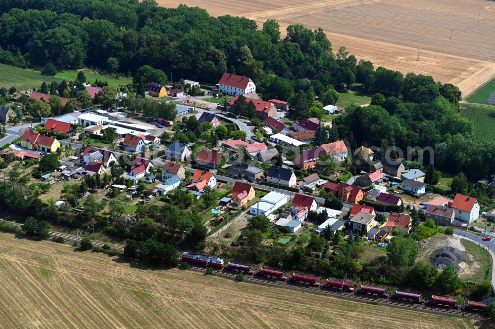 Aerial image Grubnitz - Village view in Grubnitz in the state Saxony, Germany