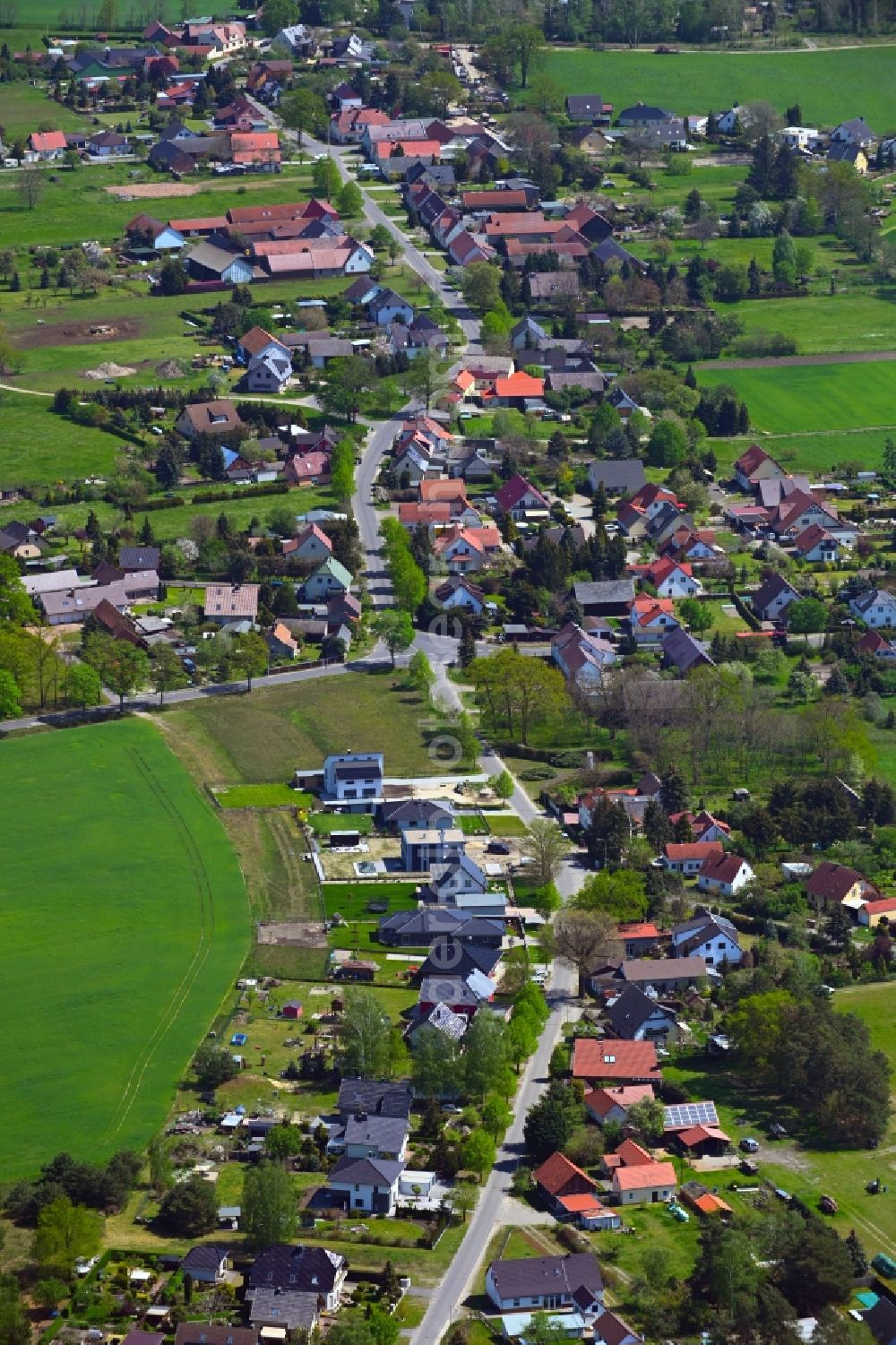 Aerial image Haasow - Village view along Haasower Hauptstrasse in Haasow in the state Brandenburg, Germany