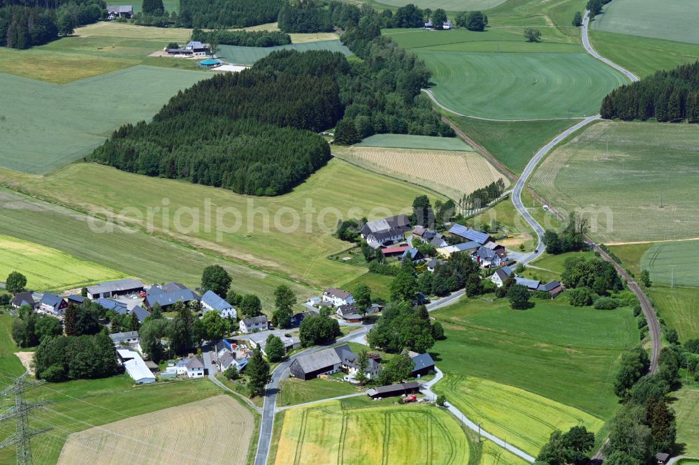 Hildbrandsgrün from the bird's eye view: Village view in Hildbrandsgruen in the state Bavaria, Germany