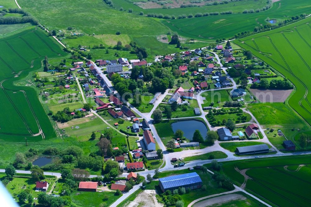 Hohen-Demzin from the bird's eye view: Village view on B108 in Hohen-Demzin in the state Mecklenburg - Western Pomerania, Germany