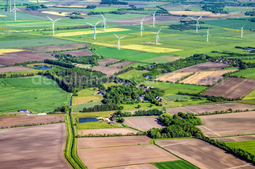 Holm from the bird's eye view: Village view in Holm in the state Schleswig-Holstein, Germany