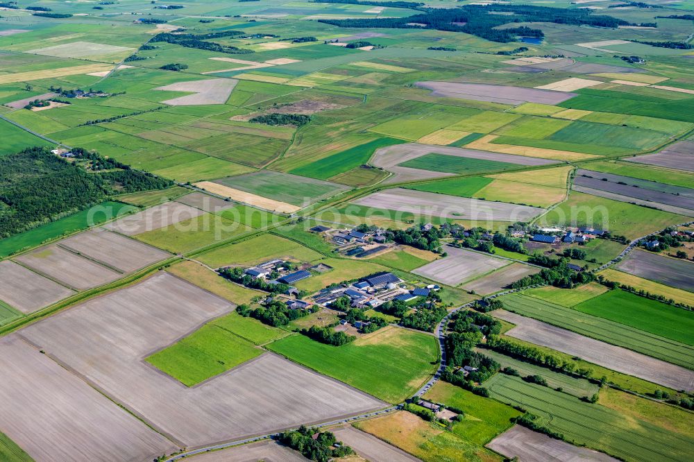 Aerial photograph Kahlebüll - Village view in Kahlebuell in the state Schleswig-Holstein, Germany