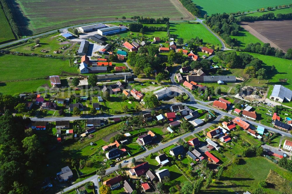 Aerial photograph Karrenzin - Village view in Karrenzin in the state Mecklenburg - Western Pomerania, Germany