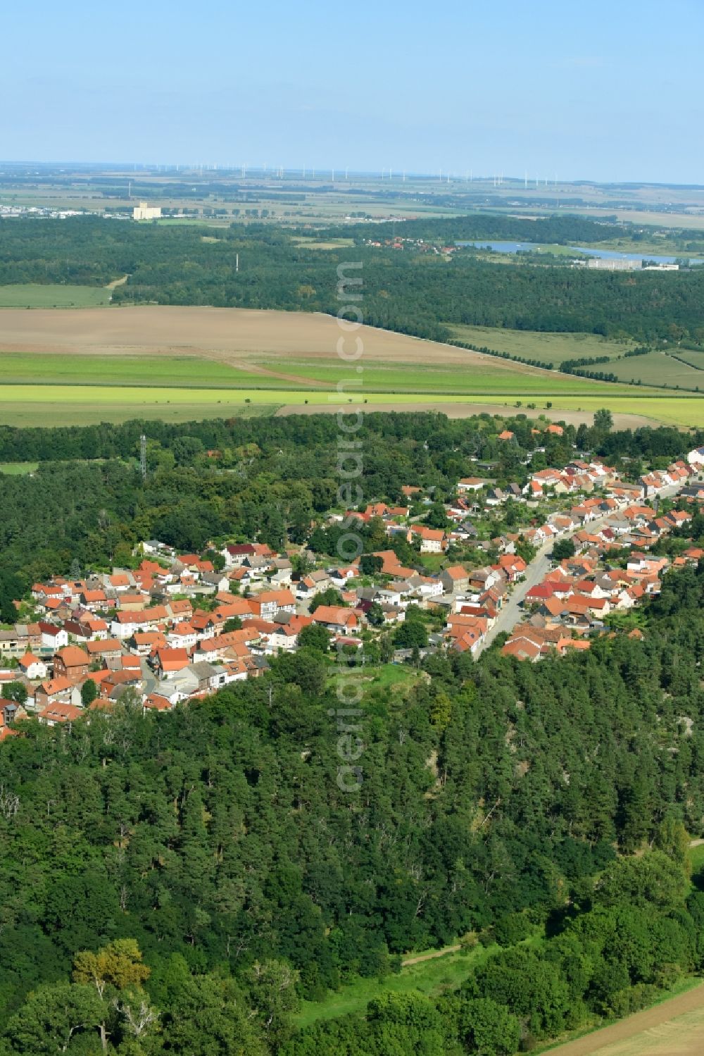 Langenstein from the bird's eye view: Village view in Langenstein in the state Saxony-Anhalt, Germany