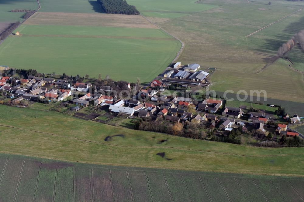Aerial photograph Zahna-Elster - Village view of Leetza in the state Saxony-Anhalt
