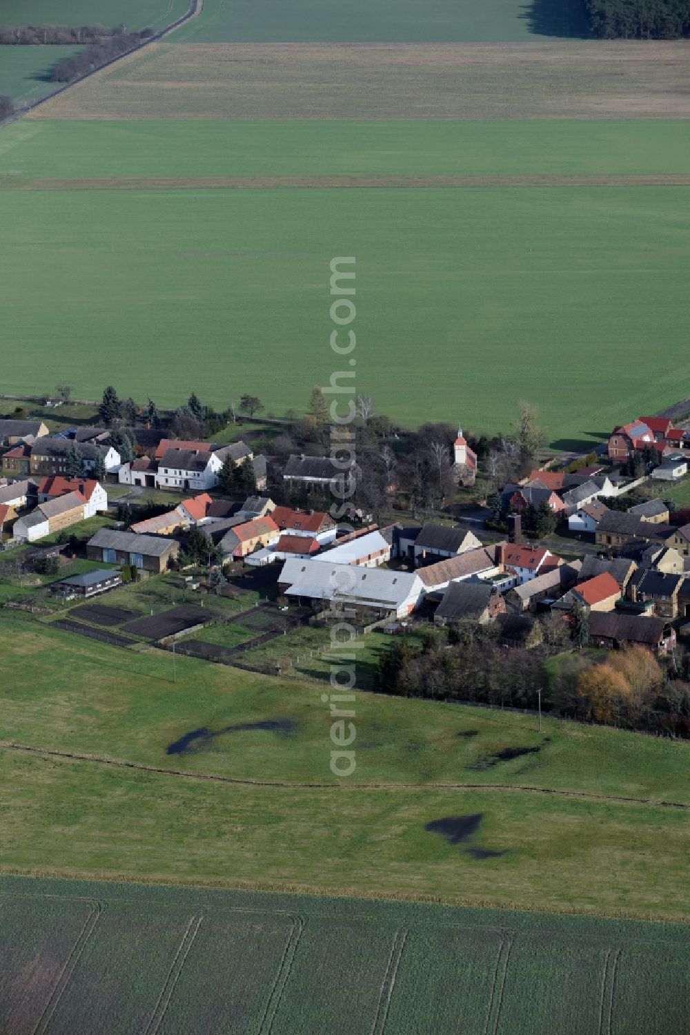 Zahna-Elster from the bird's eye view: Village view of Leetza in the state Saxony-Anhalt